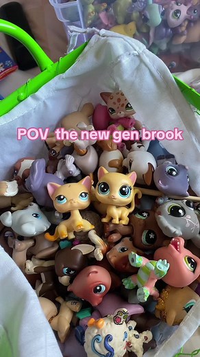 I dont like her #lps #littlestpetshop #petshop #hasbro #newgen #hasbro #g5 #cat #popular #lpspopular #brooklyn #brook #foryoupage #fyp #foryou #viralvideo #viral #viraltiktok #fyppppppppppppppppppppppp