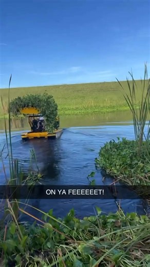 Bulrush Aquatics LLC on Reels