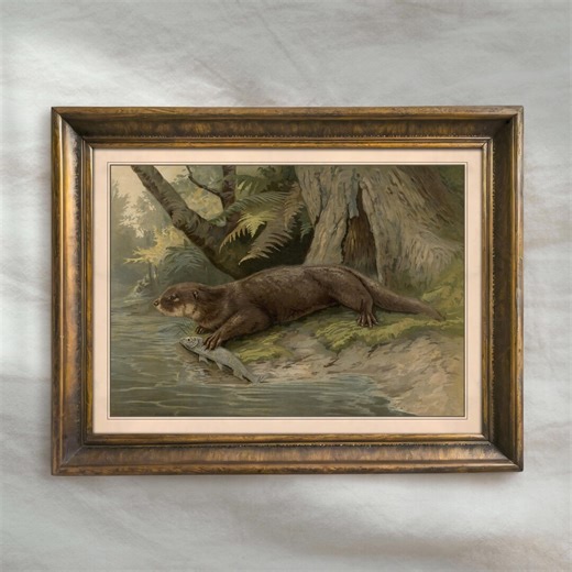 Vintage Otter Painting | Antique River Landscape Artwork | Rustic Wildlife Wall Art | Mailed Print - Etsy