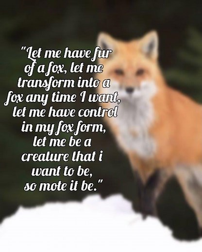 Real Spell To Become A Werefox| #shapeshifter #werefox #werewolf #kitsune #supernatural #shorts