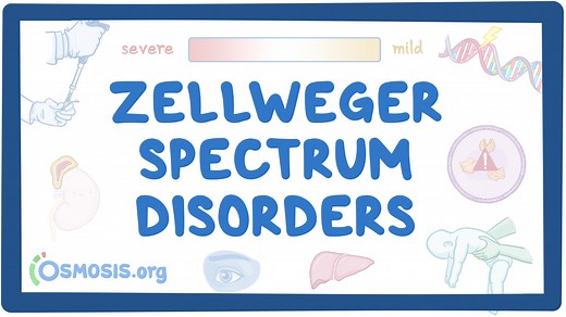 Zellweger spectrum disorders (NORD): Video, Causes, & Meaning | Osmosis