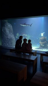 Göteborg/Gothenburg on Instagram: "Join us on a tour at @universeum, here you’ll find 9,000 m2 of adventure! ✨ This might be the perfect place if you have a curios mind. At @universeum you can explore science and experience about the world, from large world oceans and the Amazon rainforest to a chemistry lab, technology lab, mathematics and space 🌍 Make sure don’t miss out on Sweden’s largest visualisation dome, Wisdome, which is also situated in the building ☺️ #thisisgbg #gothenburg #sweden 