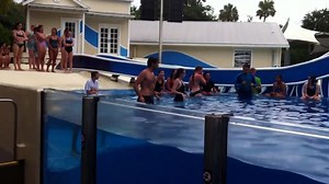 Animal trainer swim test-SeaWorld Career Camp