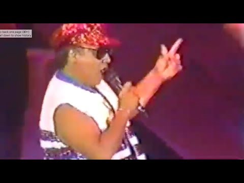 Wipe Out - Billy Hinsche - The Beach Boys Live