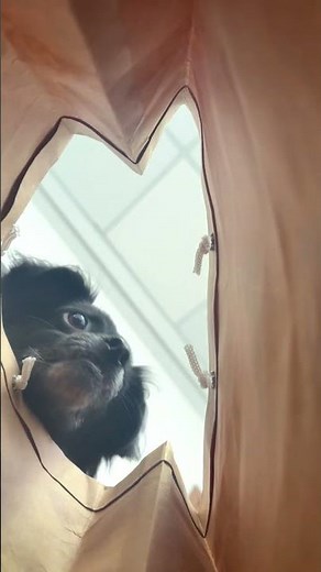 👀