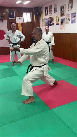 Karate Techniques with Dojo Juan Carmona in Chiclana