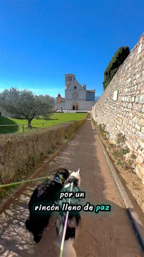 Thorin y Lucca descubren la Basílica de San Francisco de Asís 🐶🇮🇹