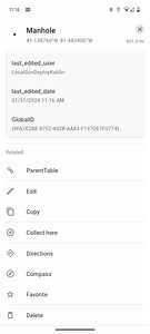 Using Calculated Expressions with Related Records in ArcGIS Field Maps