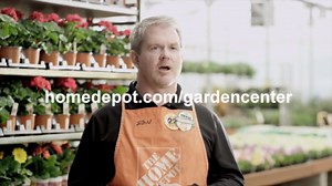 How to Create a Garden Around Your Mailbox