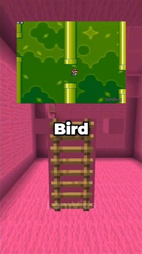 The Gamer Who Turned Mario Into Flappy Bird