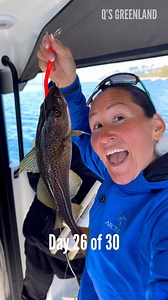 36K views · 1.6K reactions | Eating cod from the rock. Day 26 of 30. Music: Do It, Musician: @iksonmusic #greenland #qsgreenland #nature #wild #fishing #cod #food #eating #pure #fun #family #friends #love | Q’s Greenland | Facebook
