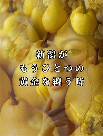 新潟が、もうひとつの黄金を纏う時 美しい食材の宝庫、新潟 その魅力を、アートで表現 和×新潟食材×AIアートのシリーズ ———————————— The time for Niigata to take on another layer of gold. #新潟 #niigatafood #aiart #枝豆 #niigatatravel #artreel #生成AIアート #和の美 #midjourneyart #japanfoodart #ルレクチェ #新潟を纏う #新潟の貴婦人