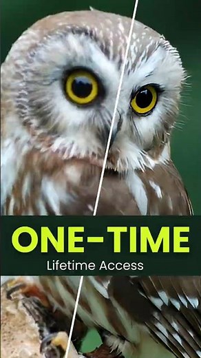 Lifetime AI Image UpScaler Tool 🔥 No Subscription, No Credits