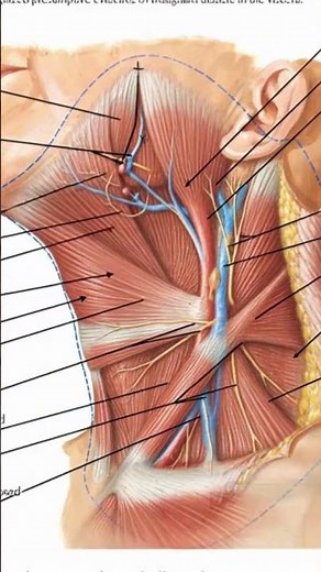 What is the BEST Neck Surgeon for Cervical Spine Surgery?
