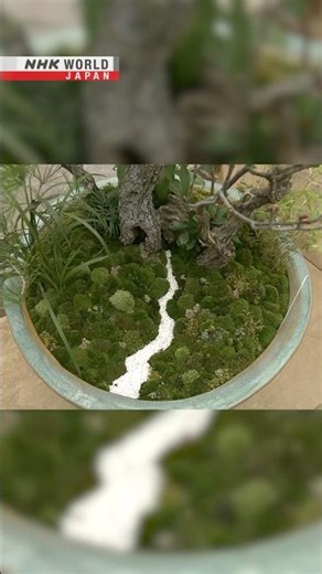 Preparing for New Year at Japan’s Imperial PalaceーNHK WORLD-JAPAN NEWS #shorts