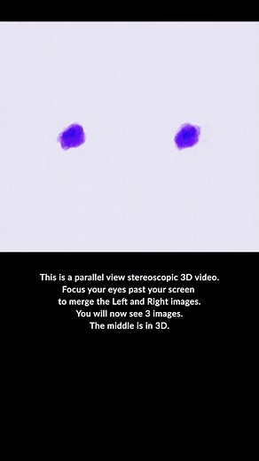 2.4K views · 75 reactions | Rorschach This is a parallel view stereoscopic 3D video. Focus your eyes past your screen to merge the Left and Right images. You will now see 3 images. The middle is in 3D. | Ben Greenberg | Facebook