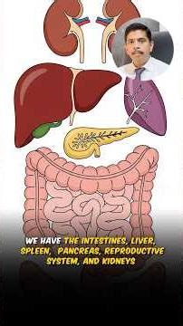 What is abdomen adhesions? #abdomen #adhésion #surgeon