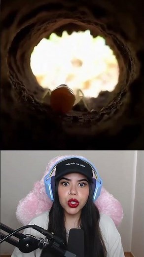 Ele Colocou Uma Câmera na Formiga #shorts