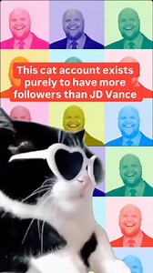 32K views · 37K reactions | 﫶 progress update ⬇️ @catsonacouch - 1,066,000 ✅ @ senatorvance - 285K✅ ⏭️ Next up: @ jdvance - 1.8M ⏭️ After that: @ vp - 15M  Finally: cat world domination  The whole point of this account is to have more friends than JD Vance  and to make sure he doesn't know a moments peace for the next 3.5 years (at least) | Cats on a Couch | Facebook
