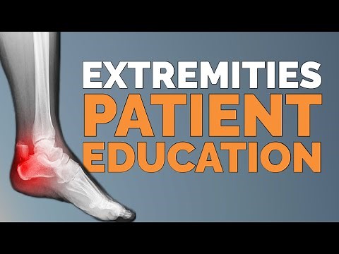 Extremities | Chiropractic Patient Education Video for Streaming in Your Practice