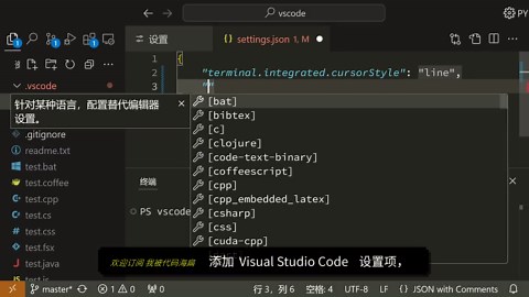 VSCode 教程·如何设置 Visual Studio Code 终端光标样式