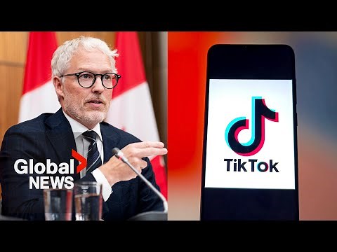 TikTok failed to keep kids off platform, Canadian privacy watchdogs find
