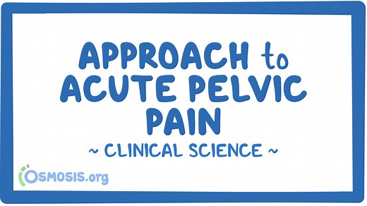 Approach to acute pelvic pain (GYN): Video & Meaning | Osmosis