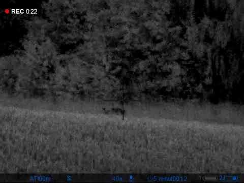 Pulsar digex n455 utan ir 150m