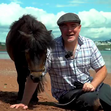 Patricks the pony story | The Adventures Of Patrick The Pony