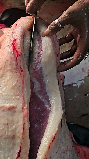 Amazing Beef Cutting And Slicing process #reels #shorts #amazing #exclusive #beef #food | ঝিনাইদহ মাংস বাজার