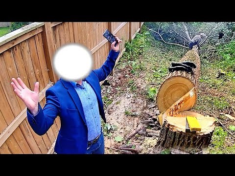 Neighbour FREAKS OUT after Trees Cut Down