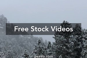 Mount Rushmore Videos, Download The BEST Free 4k Stock Video Footage & Mount Rushmore HD Video Clips