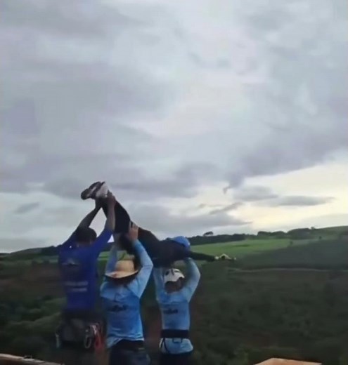 Bungee jumping accident in Brazil Full #bungee