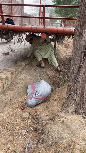 Issues with TikTok Account Review Process