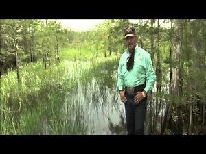 DeSantis and the SFWMD: Timeline recaps what's happening with resignations, appointments