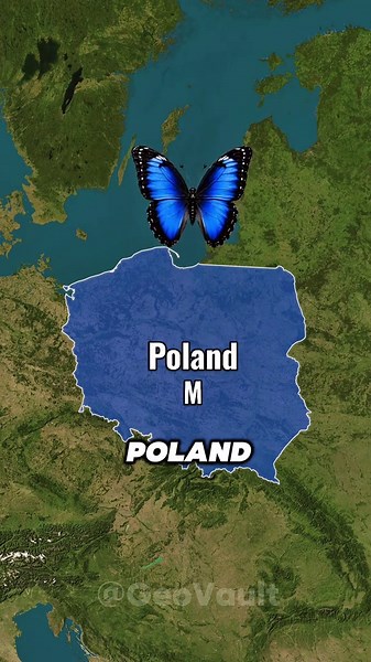 Germany named the butterfly after CREAM. 🦋 They thought butterflies were witches stealing it. #geovault #schmetterling #butterfly #languagefacts