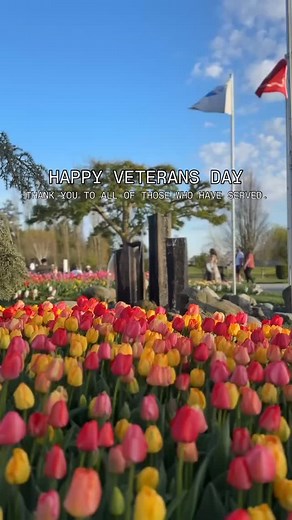 Today, we honor the brave men and women who have served our country. 🇺🇸 Our Veteran Memorial Fountain stands as a year-round reminder of their courage, surrounded each spring by tulips that bloom in gratitude. #veteransday #tuliptown | Tulip Town