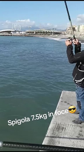 Spigola Fresca Pescata alla Foce: Un'Avventura di Pesca