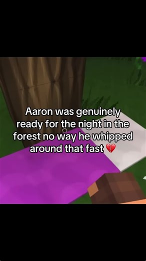 #aphmau #aphmaumystreet #aphmauminecraft #minecraftroleplay #mystreet | Aphmau