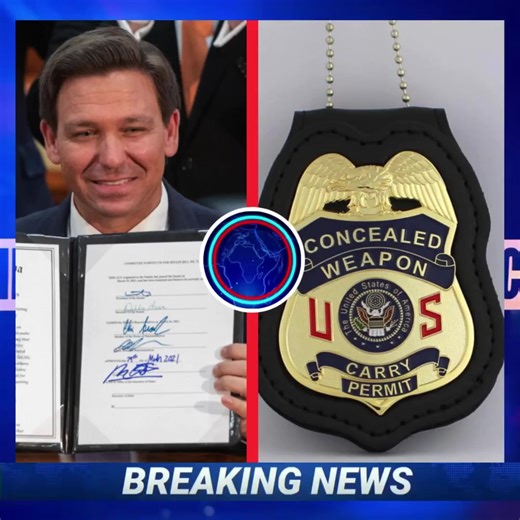 🚨FLORIDA Expands Concealed Carry Rights! Carry in 38 States🚨 🇺🇸 You now can qualify for a Florida CCW Permit! 🇺🇸 ⬇️ Click Below To Get Started Now⬇️ | Concealed Permit Guide