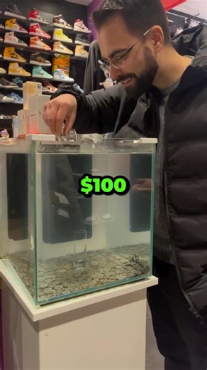 This person became a millionaire thanks to this 💼💰