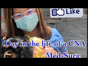 Day in the life of a CNA | Day in the life of a PCA | Med-Surg