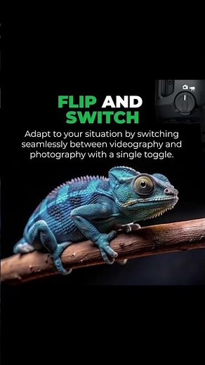 EOS R6 Mark II: The Ultimate Hybrid Camera for Photography & Videography