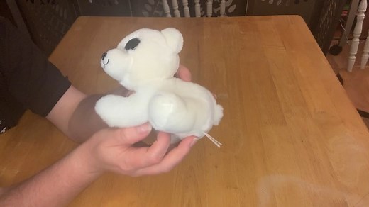 Watch Ari Beanie Boo the Beautiful Polar Bear in Your Hands on Amazon Live