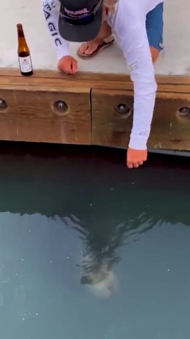 Playful Encounters with Wild Animals That Go Crazy