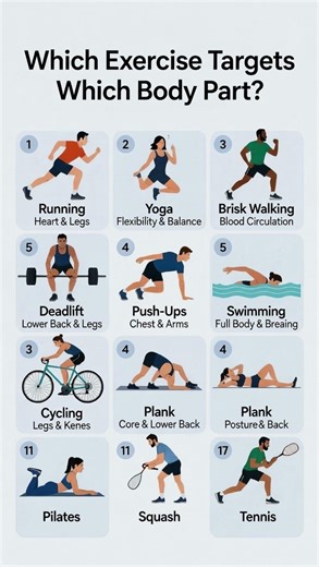 Exercises for Each Body Part: Running, Yoga, Deadlift & More!