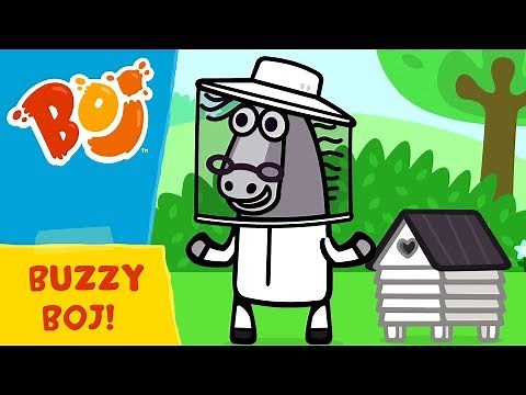 Boj - Buzzy Boj | Cartoons for Kids