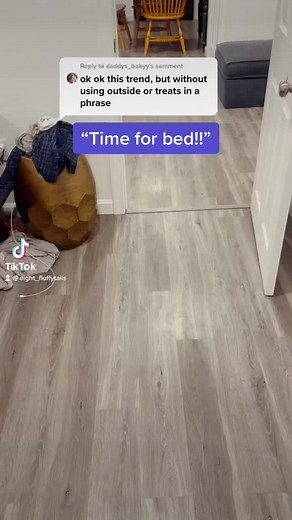 Reposting my most viral video to see how throttled my account is #dogs #dog #husky #huskies #trending #viral #dogvideo #huskyvideo #dogtok #huskytok