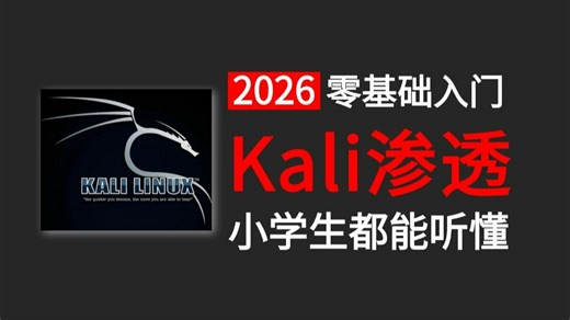 【全200集】耗时156小时讲完的Kali渗透入门教程，从零开始学习网络安全/kali linux，入门到入狱全程干货无废话