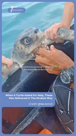 29K views · 581 reactions | This little one had barnacles stuck in...